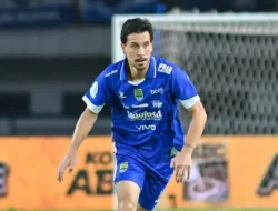 Persib Bandung vs Borneo FC , Thom Haye Absen