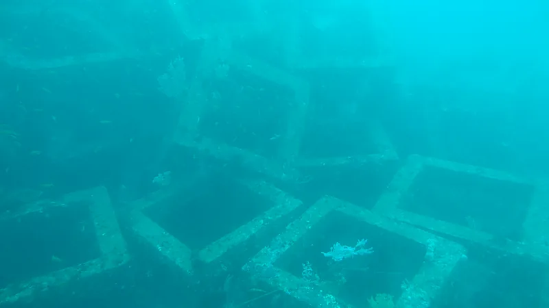 Dinas Perikanan Bulukumba Mulai Turunkan Apartemen Ikan ke Dasar Laut Tumpukan blok beton berbentuk kotak berongga di dasar laut berwarna biru kehijauan