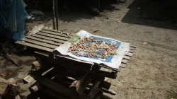 8 Kelompok Tani Dampang Dapat Benih Kakao dan Pala APBN