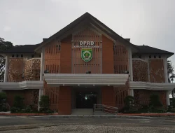 Umy Aisyatun Sebut Dipaksa Mundur dari Ketua DPRD