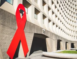 Sulsel Catat 963 Temuan HIV hingga Juli, Makassar Terbanyak