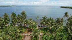 Profil Kecamatan Ujung Loe Bulukumba: 12 Desa dan Kelapa