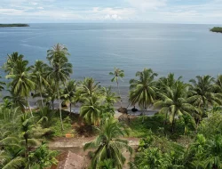 Profil Kecamatan Ujung Loe Bulukumba: 12 Desa dan Kelapa