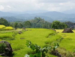 Kemenham Sulsel Petakan Keluhan Bansos Warga Bontomanai