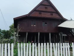 Kependudukan Bulukumba: Umur, Rasio, dan Kepadatan