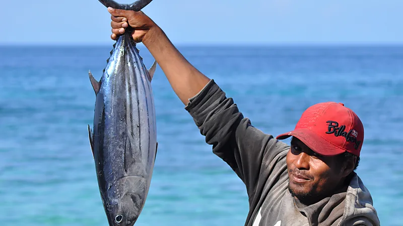 Seorang nelayan bertopi merah mengangkat seekor ikan cakalang besar dengan satu tangan, berlatar laut biru kehijauan