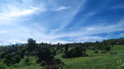 Produksi Padi dan Perkebunan Bulukumba Data 2025
