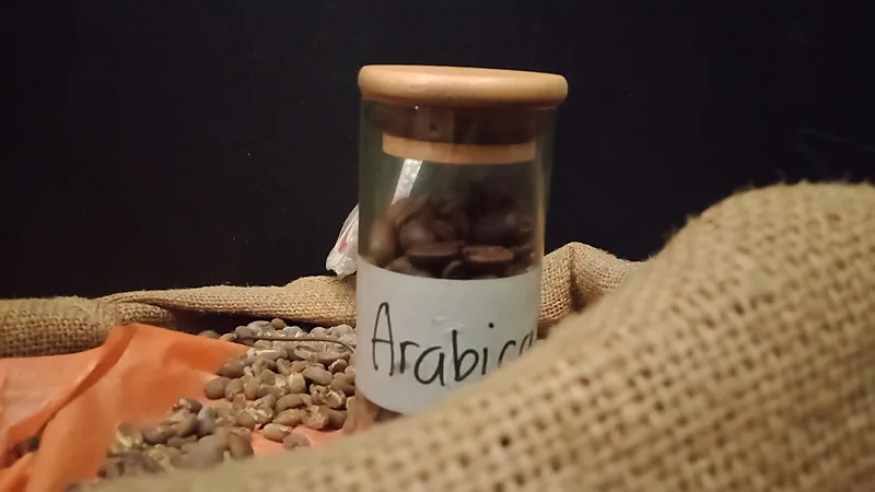 Kopi Arabika Kahayya Bulukumba Resmi Indikasi Geografis Toples kaca bertuliskan Arabica berisi biji kopi sangrai, berdiri di atas kain goni dengan tumpukan biji kopi hijau di sekitarnya