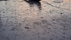 Hamparan pasir pantai basah saat air surut dengan perahu kayu dan tali tambat di bagian atas