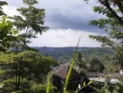 Lembah Biru Bulukumba: Jam Buka, Tiket, dan Lokasi