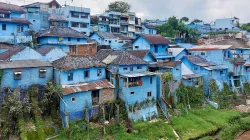 Deretan rumah padat bercat biru bertingkat di lereng Kampung Biru Arema, Kota Malang, dengan atap genting dan seng di antara pepohonan hijau
