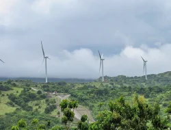 Daya PLTA Sulbagsel Anjlok 600 MW, Bahlil Siapkan Pembangkit Pengganti