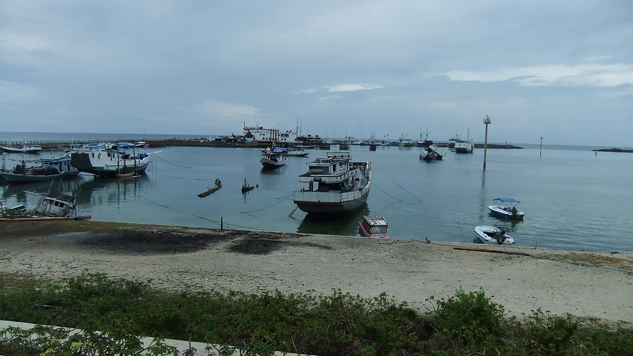Kolam pelabuhan yang tenang berisi perahu kayu nelayan dan speedboat yang bersandar, dengan pemecah gelombang dan kapal-kapal lain di kejauhan di bawah langit mendung