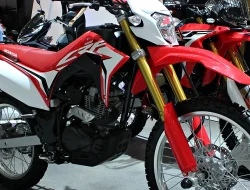 Terduga Pelaku Pelecehan Nakes di Gantarang Ditangkap