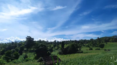 Ladang jagung dan pepohonan di perbukitan Bontotiro, Bulukumba, dengan pondok kayu di bawah langit biru berawan