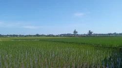 BPN Usul Ukur Ulang Lahan Bontomanai yang Disengketakan