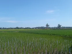 BPN Usul Ukur Ulang Lahan Bontomanai yang Disengketakan