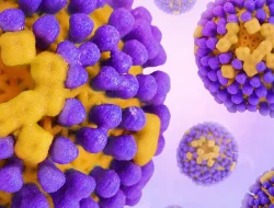 Kemenkes: 12 Kasus Super Flu Sulsel sampai Minggu ke-36