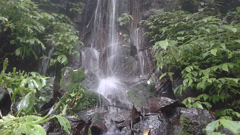Air terjun kecil jatuh di antara batu berlumut dan rimbunan daun basah di lereng berhutan