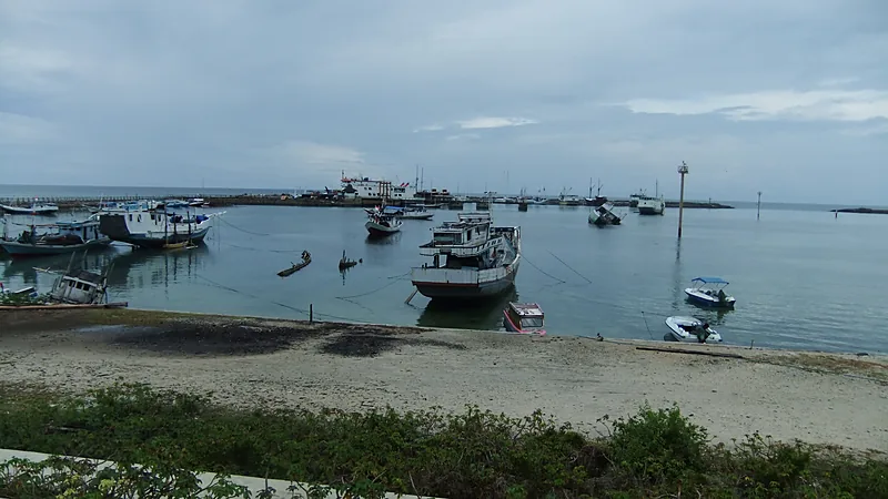 Pelabuhan Bulukumba dengan puluhan perahu kayu dan kapal nelayan bersandar di perairan dangkal, dermaga dan tanggul memanjang di latar belakang
