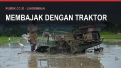 Bantuan Alsintan di Bulukumba dan Masalahnya