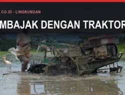 Bantuan Alsintan di Bulukumba dan Masalahnya