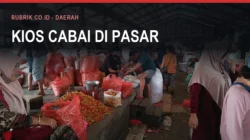 Harga Cabai di Bulukumba dan Pemantauan Pasarnya