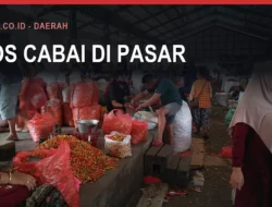 Harga Cabai di Bulukumba dan Pemantauan Pasarnya