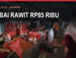Cabai Rawit Rp85 Ribu, Pasokan Dikirim ke Luar
