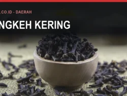 Harga Cengkeh di Bulukumba dan Musim Panennya