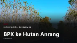 BPK Tinjau Hutan Anrang, Warga Tolak Yon TP