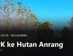 BPK Tinjau Hutan Anrang, Warga Tolak Yon TP
