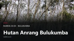 Hutan Anrang Bulukumba: Letak dan Sengketanya