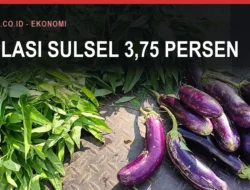 Inflasi Sulsel 3,75 Persen, Makassar Tertinggi
