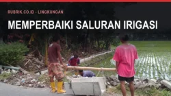 Irigasi Bulukumba: Kerusakan dan Rehabilitasinya