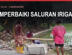 Irigasi Bulukumba: Kerusakan dan Rehabilitasinya