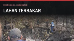 Kebakaran di Bulukumba: Angka dan Musimnya