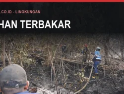 Kebakaran di Bulukumba: Angka dan Musimnya