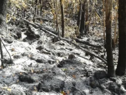 Kebakaran Lahan Bonto Lojong Bantaeng Masuk Hari Kedua