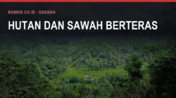 Konflik Agraria di Bulukumba dan Tuntutannya