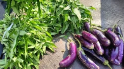 Pasar Sentral Bulukumba: Lokasi, Jam, dan Kondisinya