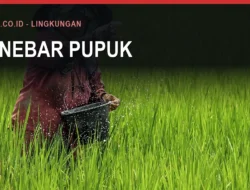 Pupuk Bersubsidi di Bulukumba dan Syaratnya