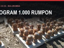 Program 1.000 Rumpon Bulukumba dan Cara Kerjanya