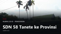 SDN 58 Tanete Raih Enam Prestasi di FTBI