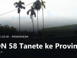 SDN 58 Tanete Raih Enam Prestasi di FTBI