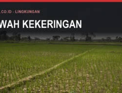Sumur Bor untuk Sawah Kering di Bulukumba