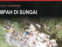 Sungai Kirasa Bulukumba: Luapan dan Sampahnya