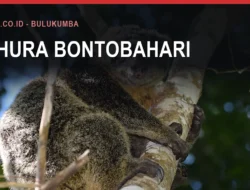 Tahura Bontobahari: Kasus Lahan dan Penjaganya