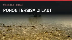 Tanggul Penahan Ombak dan Banjir Rob Bulukumba