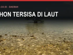 Tanggul Penahan Ombak dan Banjir Rob Bulukumba